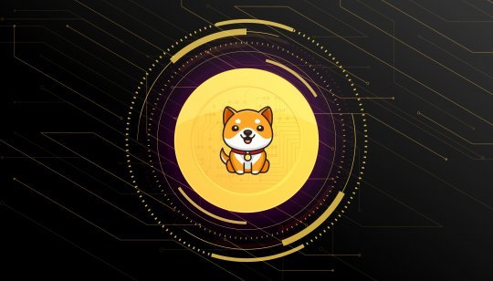 1MBABYDOGE Coin